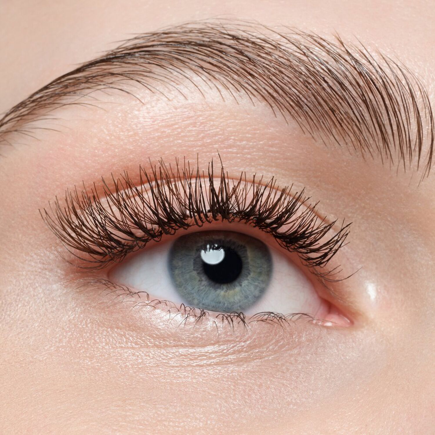 Faked Brown Cluster Lashes - Faux Cils Teinte Marron 20 Pièces
