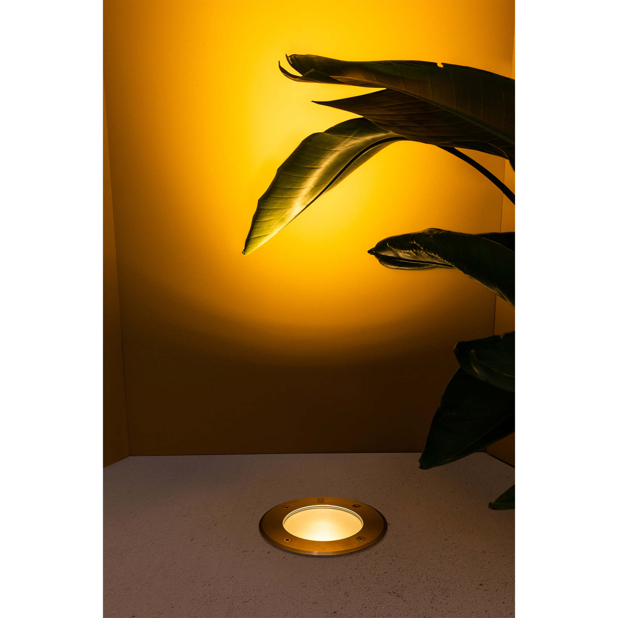 SALT Empotrable asimétrico inox