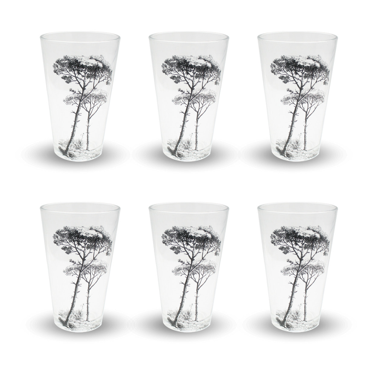 Lot de 6 verres, VILLA LES PINS