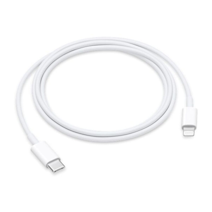 Câble Lightning APPLE USB-C vers lightning 1m