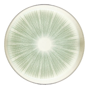 Lot de 4 Assiettes Eva vert