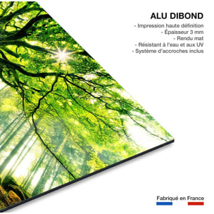 Tableau nature l 'hêtre de ponthus Tableau alu Dibond