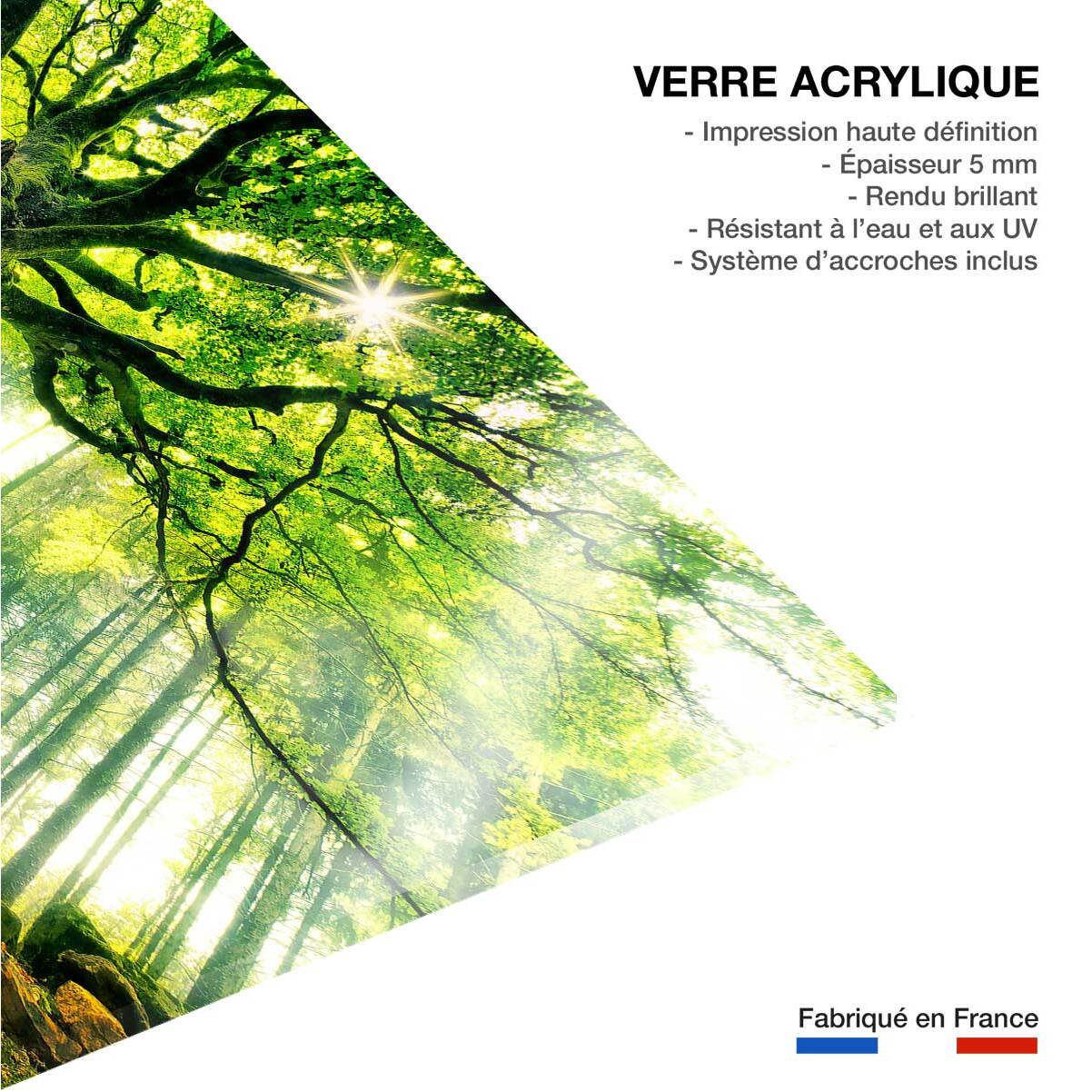 Tableau nature l 'hêtre de ponthus Tableau plexiglas