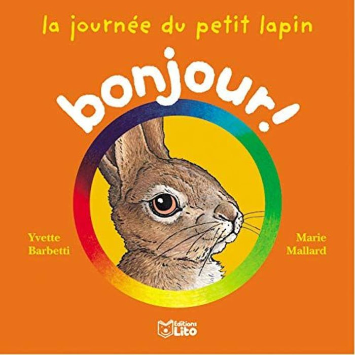 Barbetti, Yvette | La journée du petit lapin | Livre d'occasion
