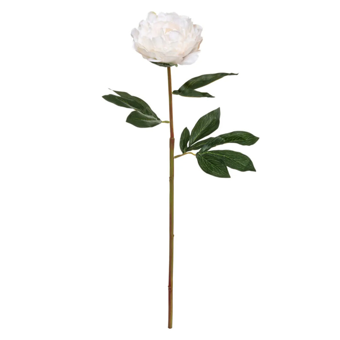 Tige de pivoine artificielle H68cm