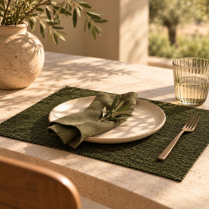 Lot de 6 sets de table en plastique effet cuir tressé vert 43x30cm ICA