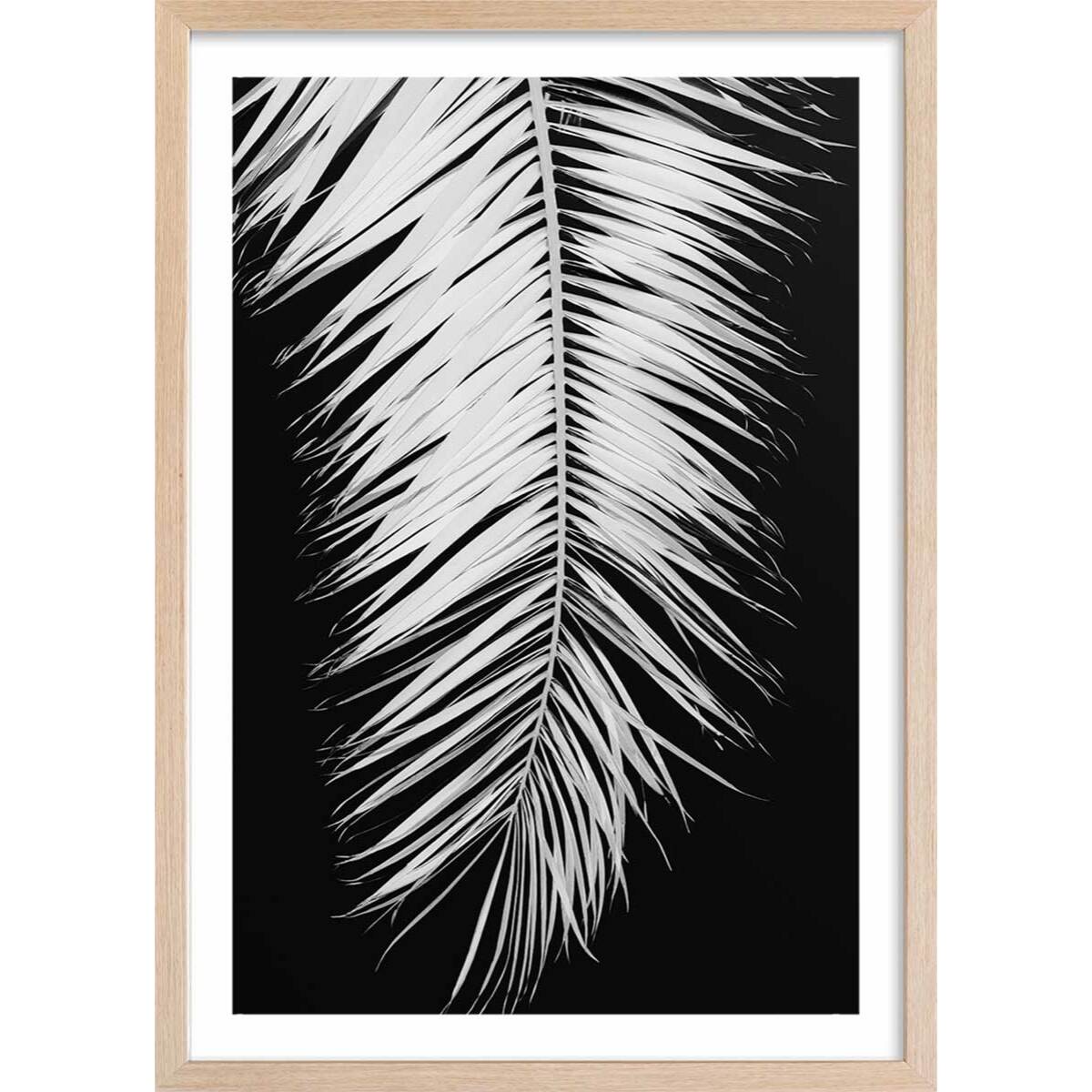 Poster palme x Affiche + cadre en bois - Chêne