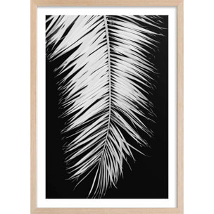 Poster palme x Affiche + cadre en bois - Chêne