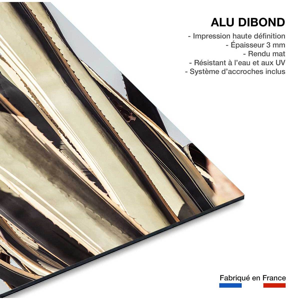 Tableau cactus mexicain Tableau alu Dibond