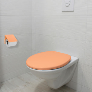 Porte rouleau papier wc mural Pêche MSV