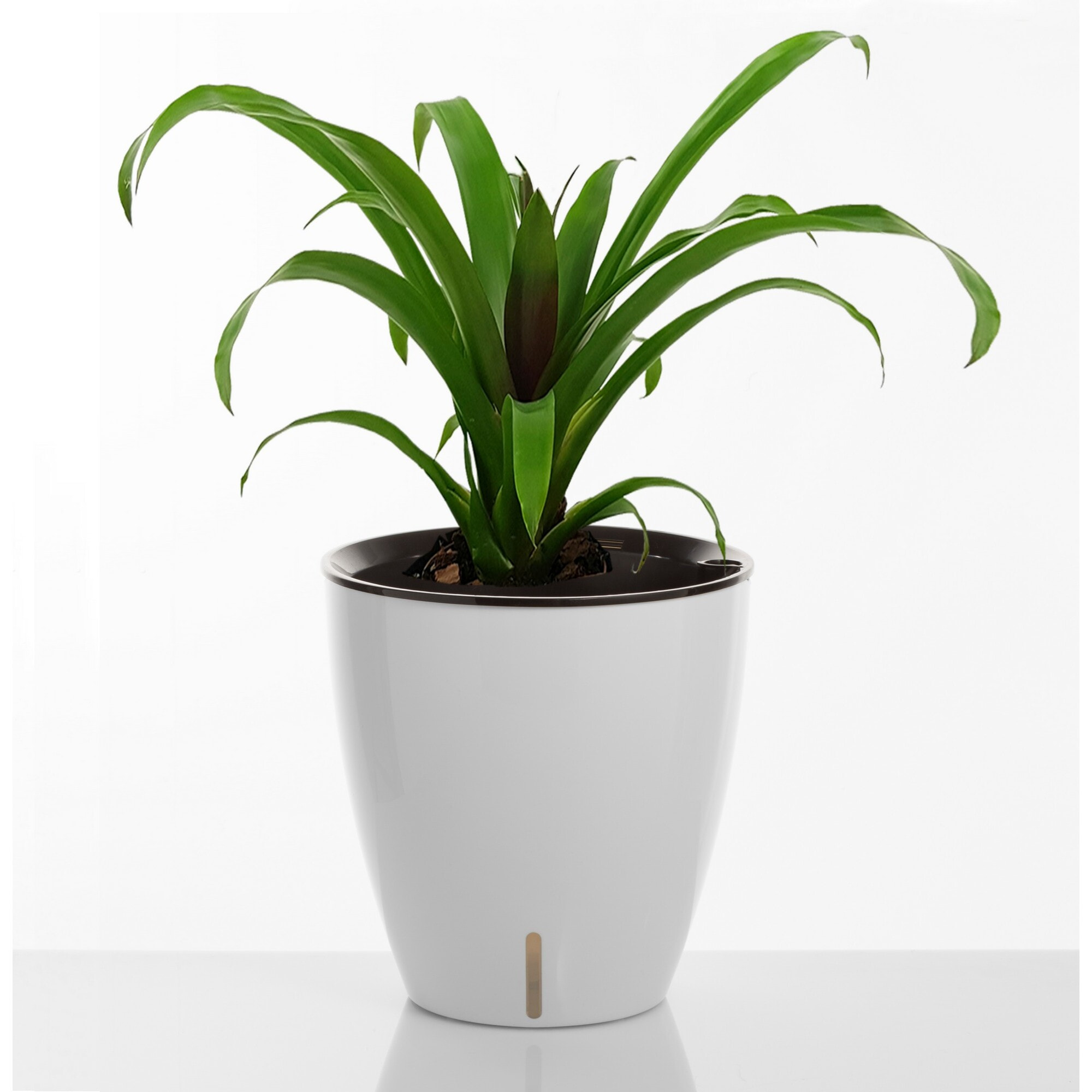 Pot de fleurs à réserve d’eau Tomasucci TULIP, en polypropylène, blanc, 30 × 30 × 23 cm