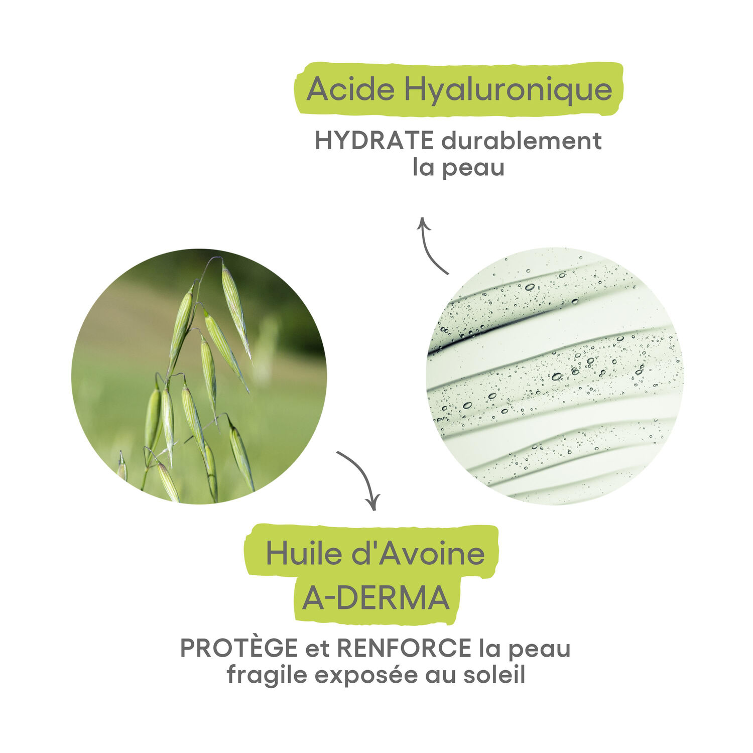 Protect AH - Lait Après-Soleil - Apaise et Hydrate 100ml
