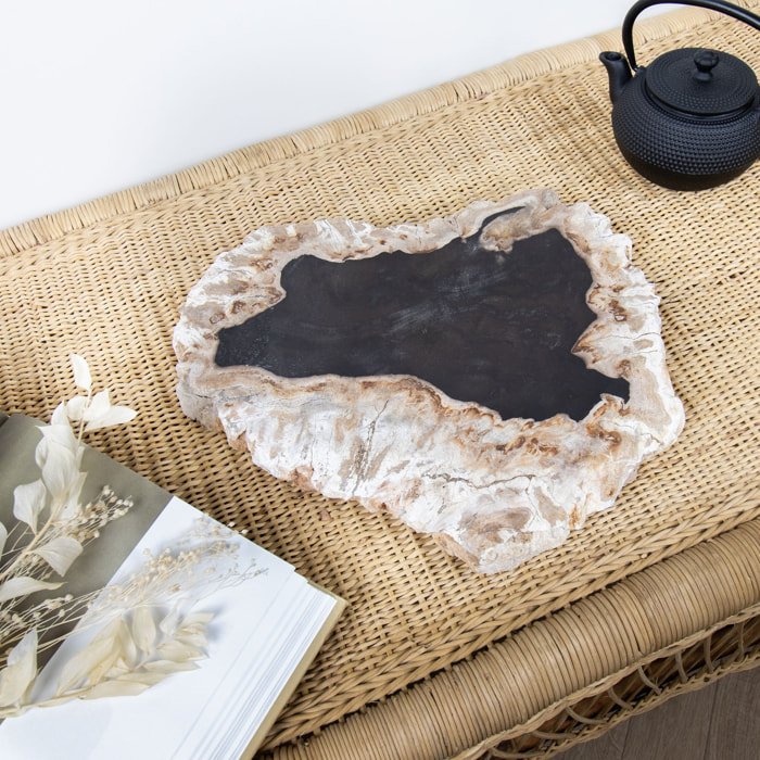 Plateau de présentation en bois pétrifié nuancé