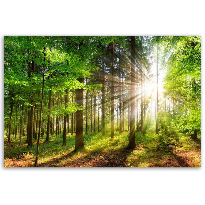 Tableau forêt verte baignée de lumière Toile imprimée