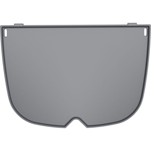 Plancha pour barbecue WEBER 3400864 pour Q2100N