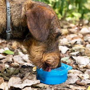 Bottiglia con Contenitore per Acqua e Cibo per Animali Domestici 2 in 1 Pettap InnovaGoods