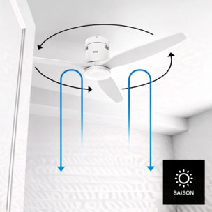 Ventilateur plafonnier TAURUS POLAR 3B PURE