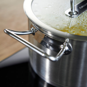 Marmite 20 cm ZWILLING® Pro