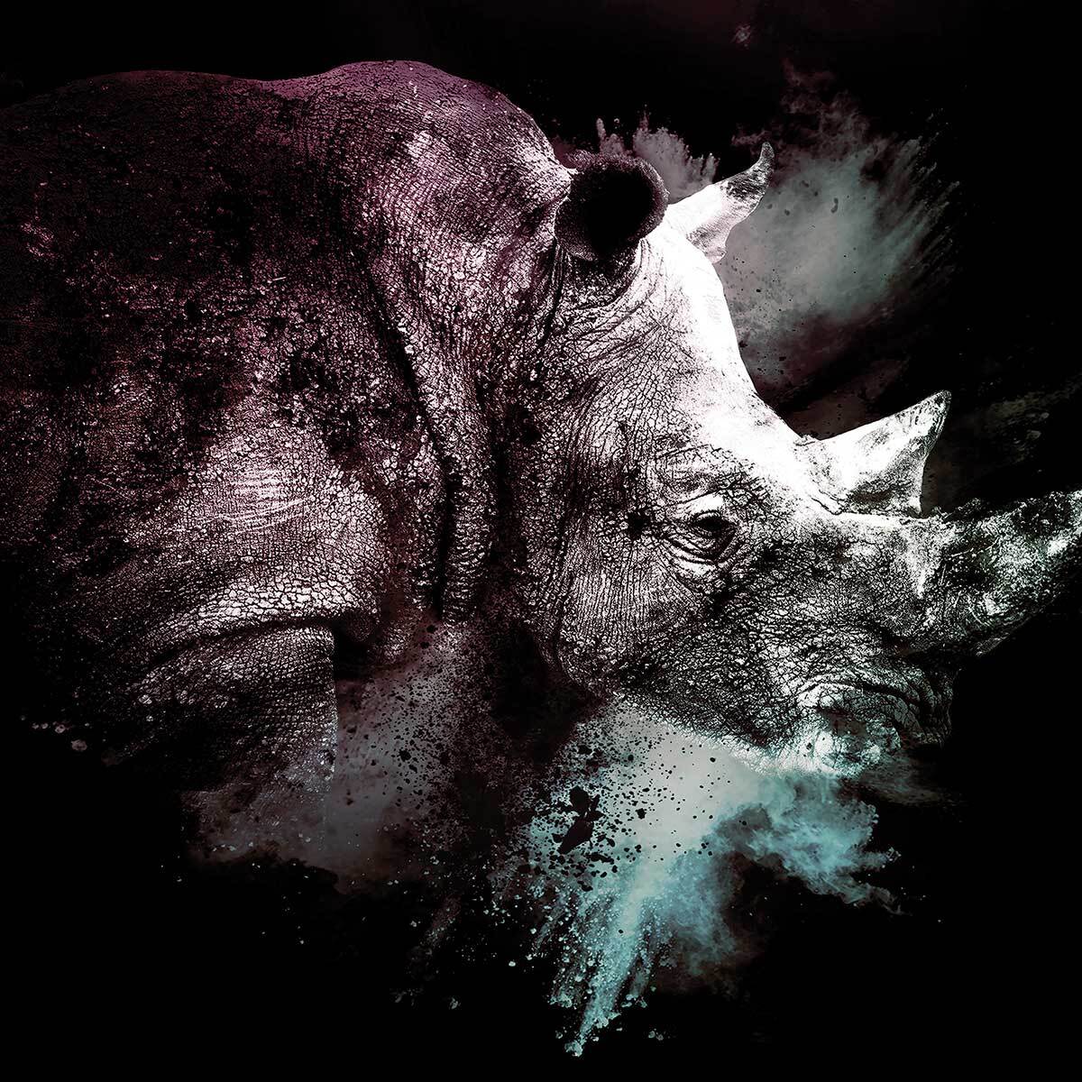 Affiche wild explosion rhinoceros Affiche + cadre en bois - Chêne