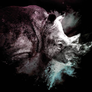 Affiche wild explosion rhinoceros Affiche + cadre en bois - Chêne