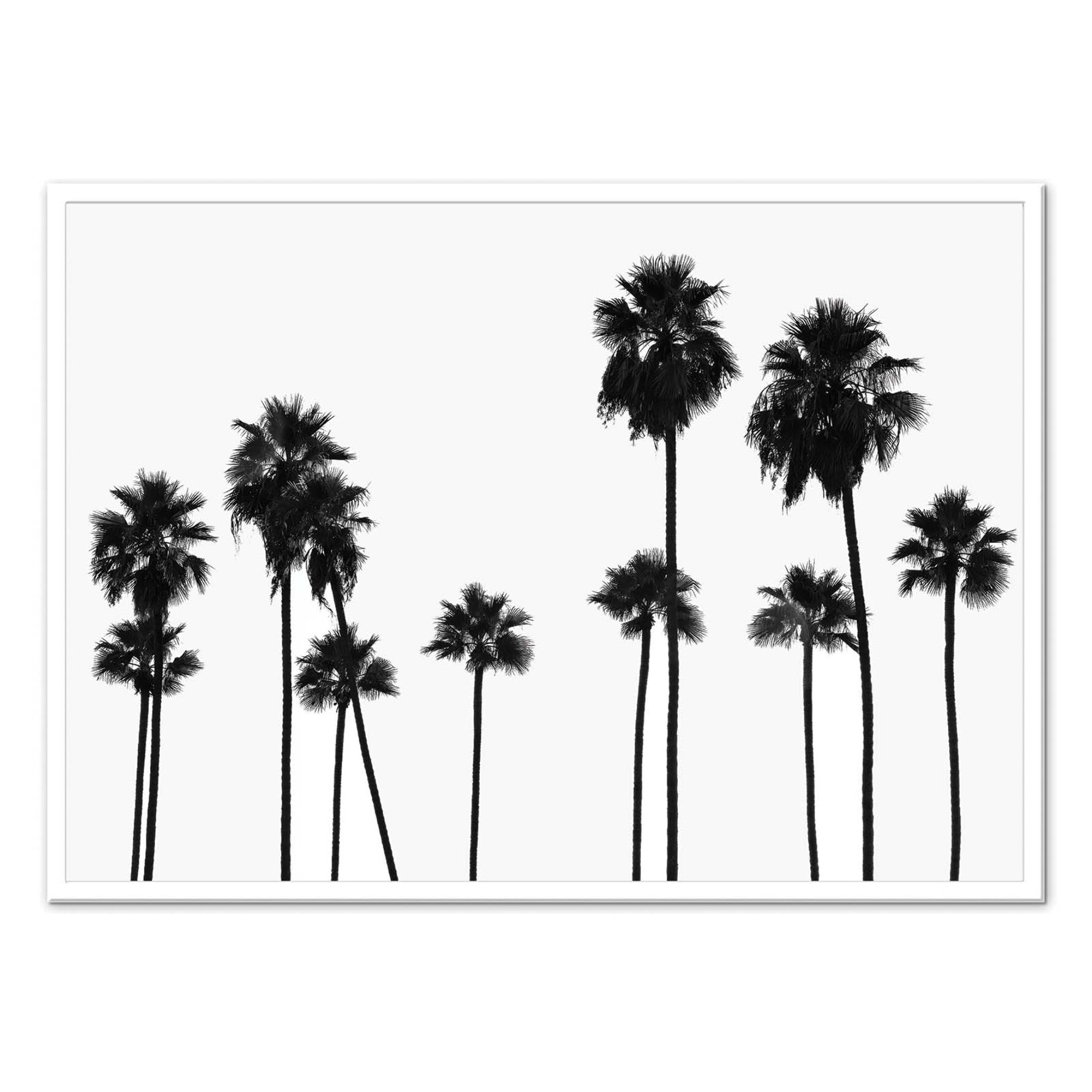 Affiche - Palm Trees LA - Philippe Hugonnard