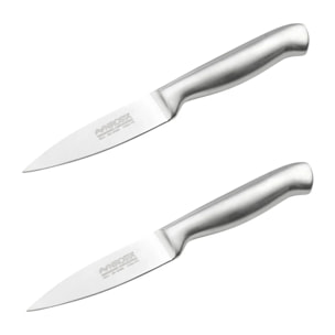 Ensemble de 2 Couteaux d'office en inox 20 cm en tout Nirosta Star