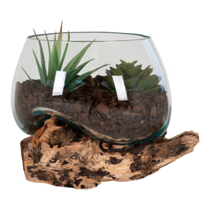 Terrario San Marino in vetro sferico su base in radice di teak 15x15x15 cm