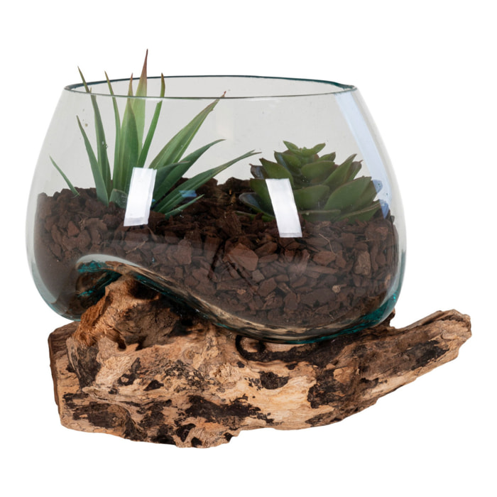 Terrario San Marino in vetro sferico su base in radice di teak 15x15x15 cm