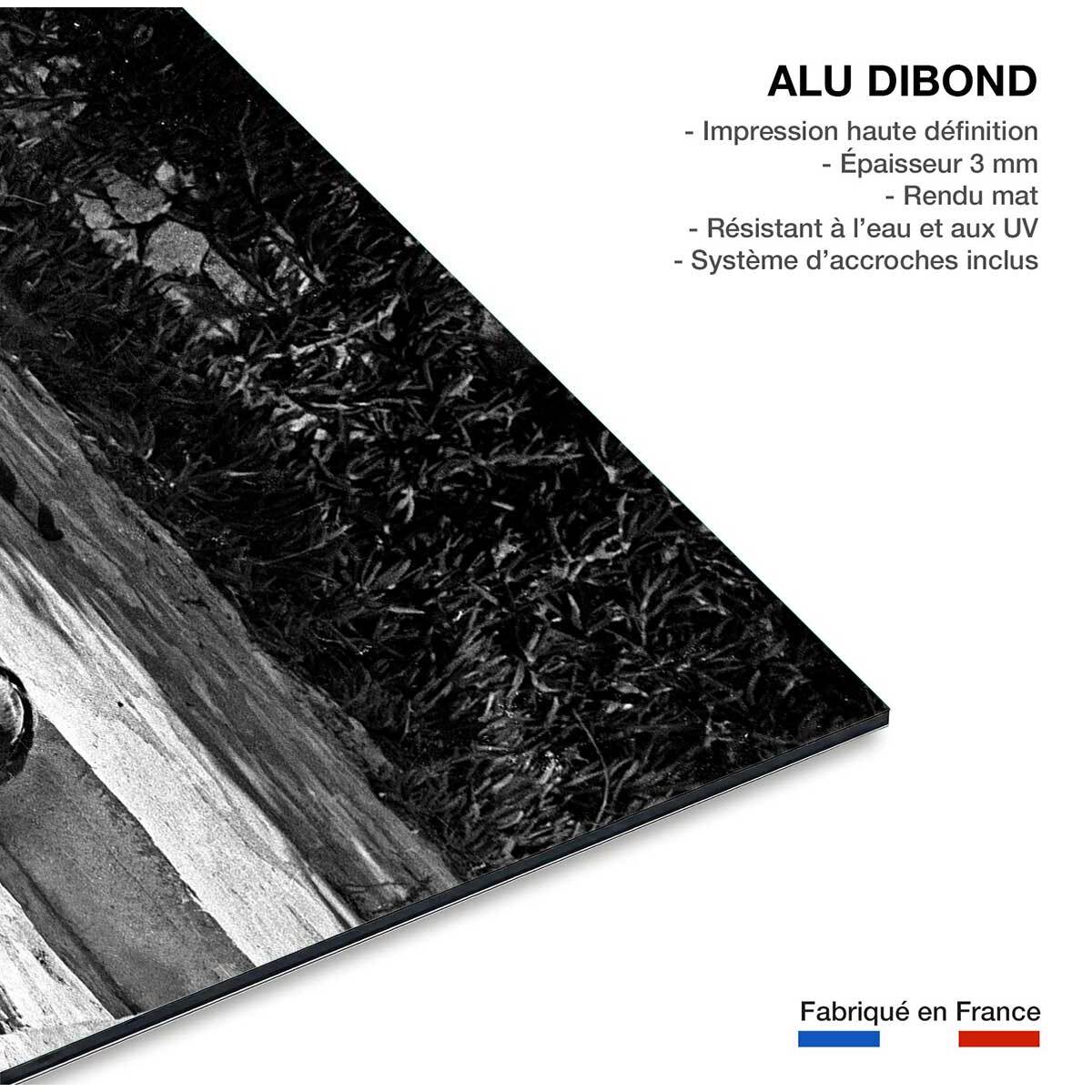 Tableau la piscine romy schneider et alain delon en 1968  Tableau alu Dibond