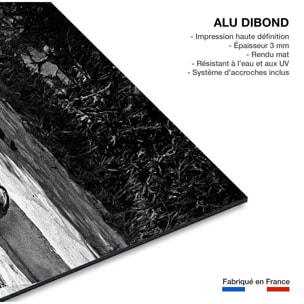 Tableau la piscine romy schneider et alain delon en 1968  Tableau alu Dibond