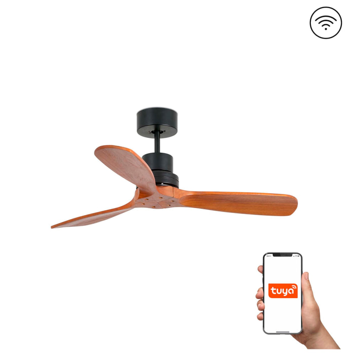 MINI LANTAU S Ventilateur de plafond noir mat/noyer TUYA