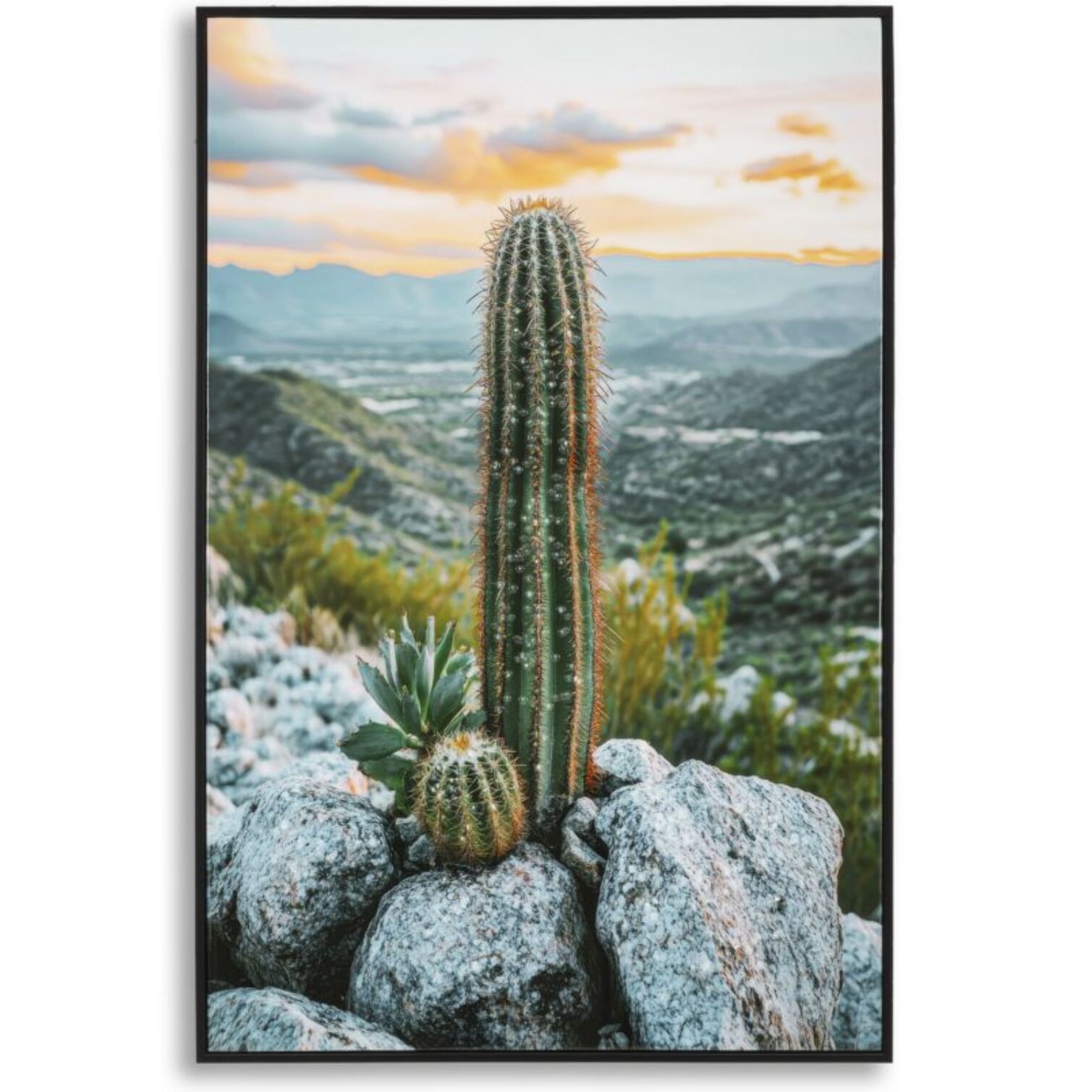 STAMPA SU TELA LACCATA C/CORNICE CACTUS -A- CM 60X4X90