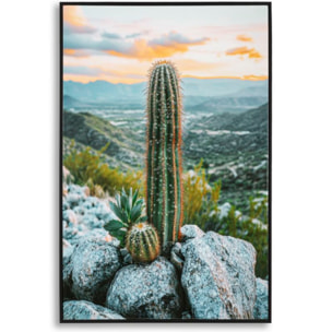 STAMPA SU TELA LACCATA C/CORNICE CACTUS -A- CM 60X4X90