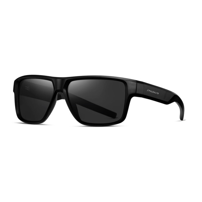 Gafas de sol PALO ALTO SNOW - Negro mate / Polarizada ahumada