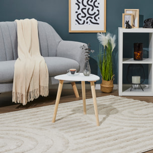 Table D Appoint Shelly Blanc