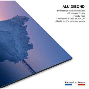 Tableau iceberg disco Tableau alu Dibond
