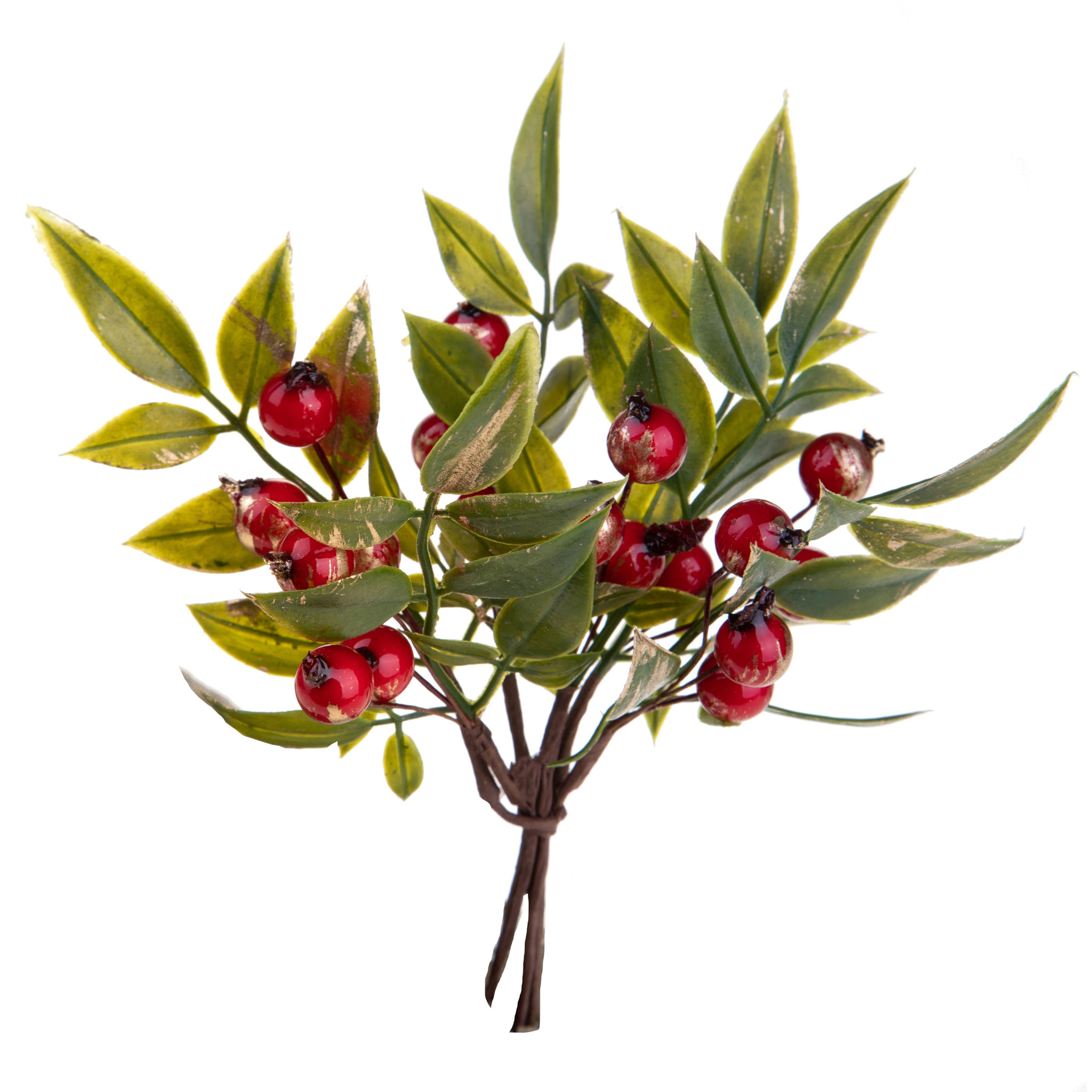 Pick ruscus per - Pezzi 12 - 17xH16x6cm - Bianchi Dino SpA