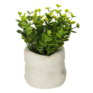 Plante artificielle - pot en ciment - H14 cm