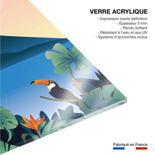 Tableau voyage Volcan du Costa Rico Tableau plexiglas