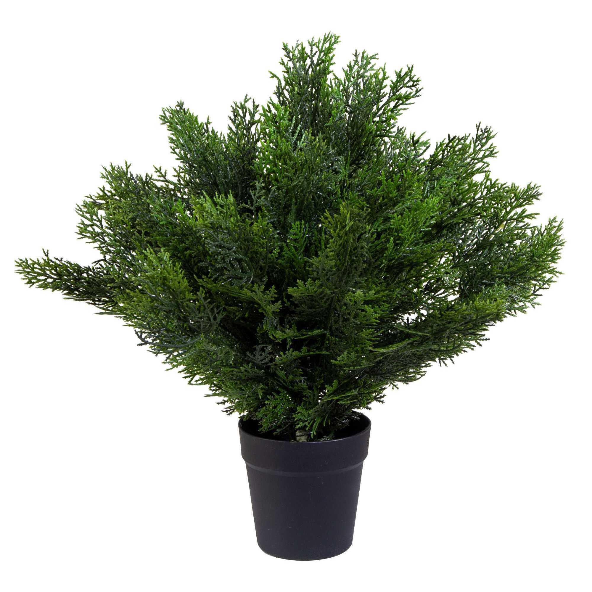 Pianta artificiale Cedro Vacchetti in plastica cmh50