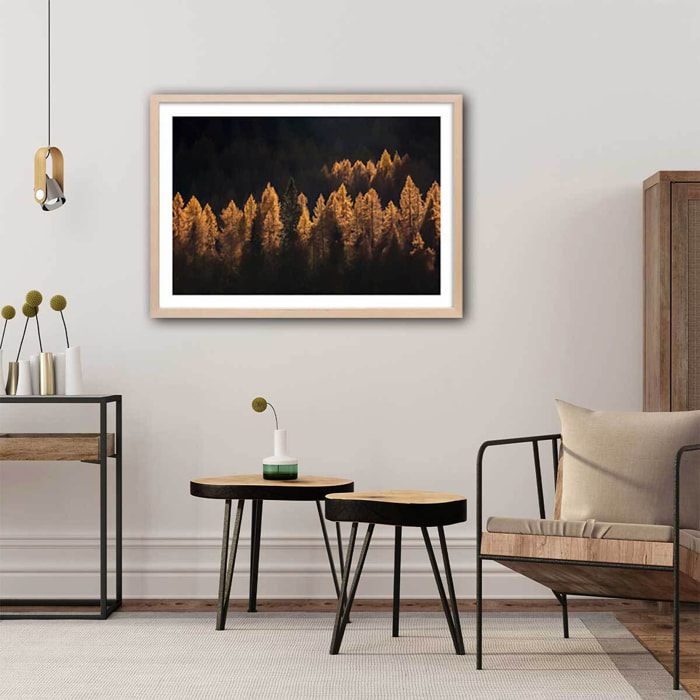 Affiche mélèzes d' automne Affiche sous cadre bois