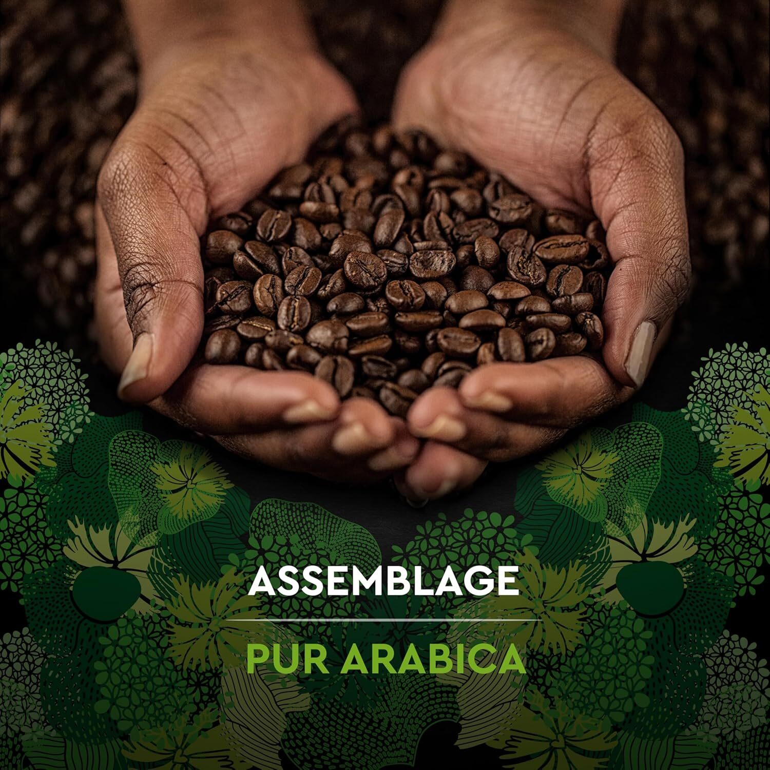 Moulu BIO 2x250g - certifié Rainforest Alliance