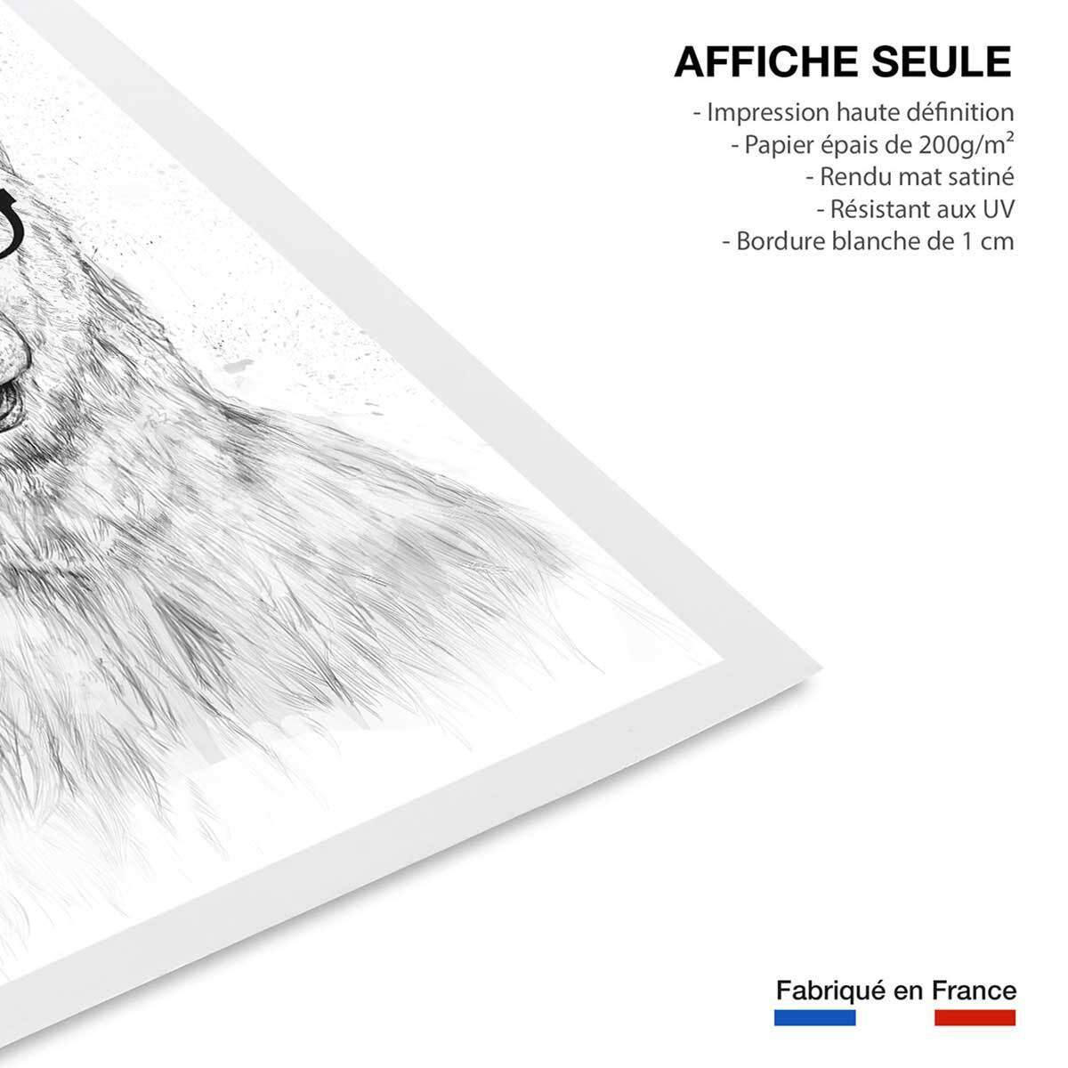 Affiche enfant ours etudiant  Affiche seule