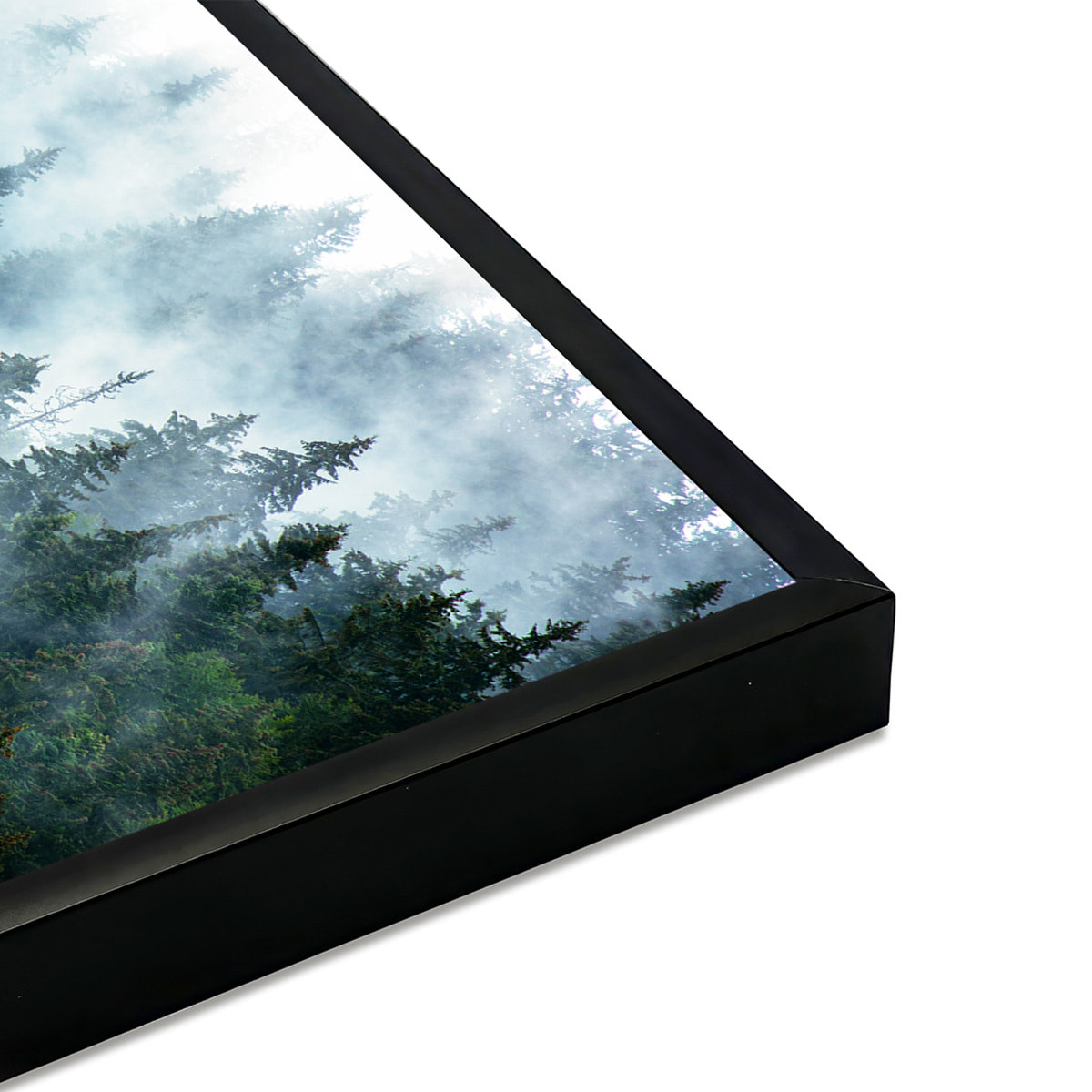 Affiche encadrée – Forêt de conifères dans la brume Affiche + cadre en métal - Noir