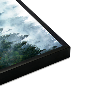 Affiche encadrée – Forêt de conifères dans la brume Affiche + cadre en métal - Noir