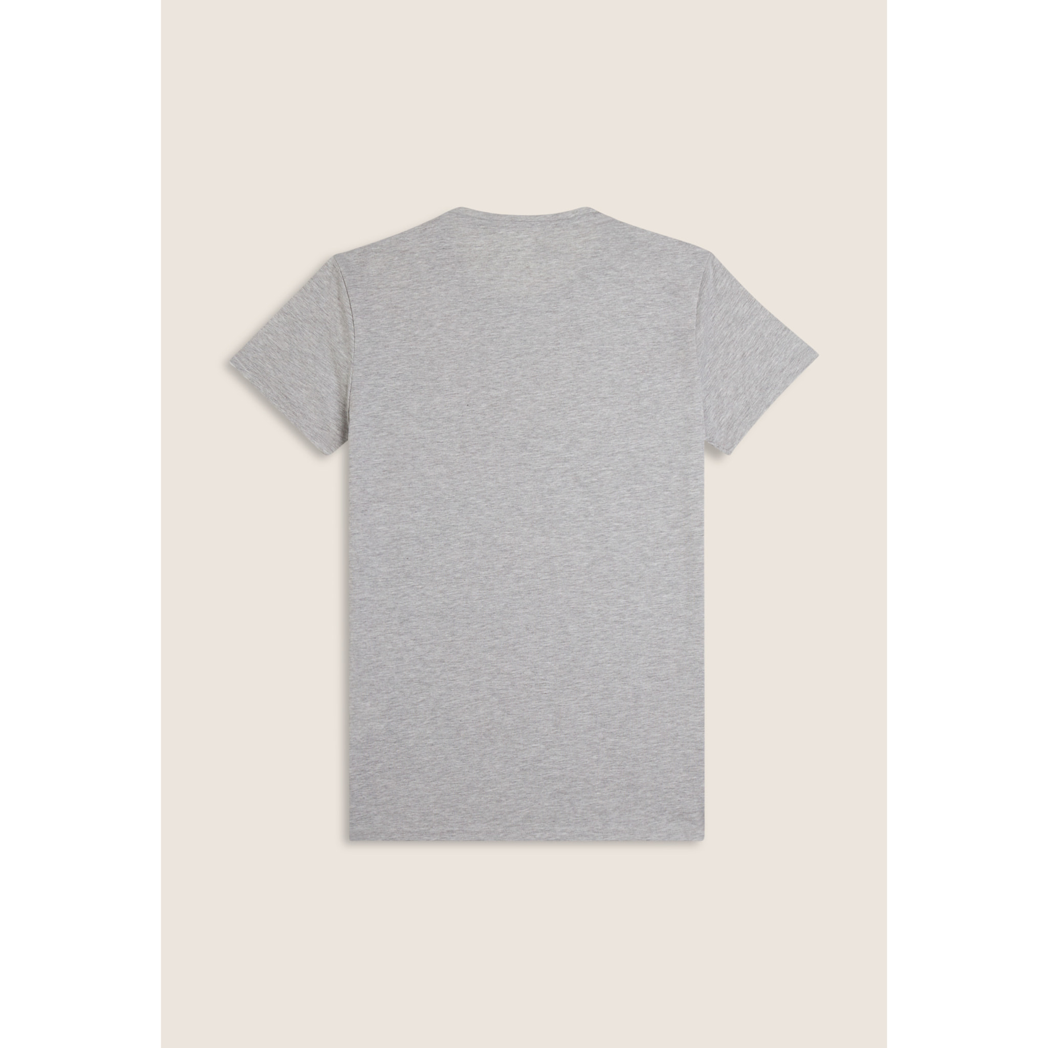 T-shirt Uomo in Cotone con Logo FREDDY Colorato