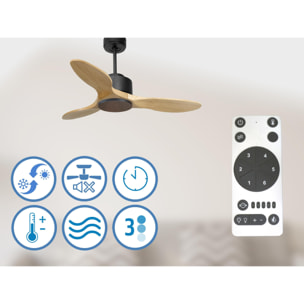 Ventilateur de plafond ø106 cm avec Wifi Réversible Hypersilence 40   W Noir