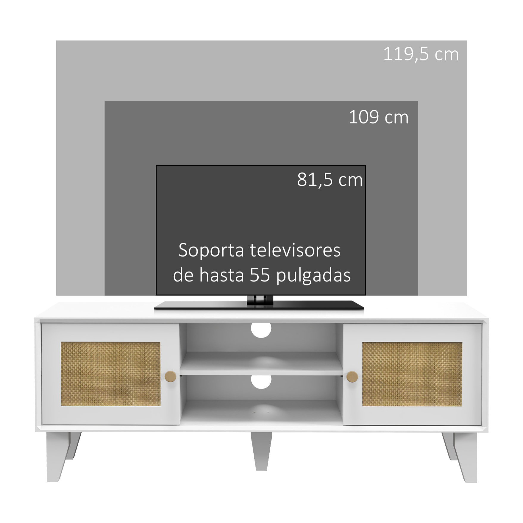 Mueble de TV Mueble de Salón para Televisores de hasta 55 Pulgadas con 2 Puertas de Ratán y Estante Ajustable para Dormitorio 120x35x46 cm Blanco