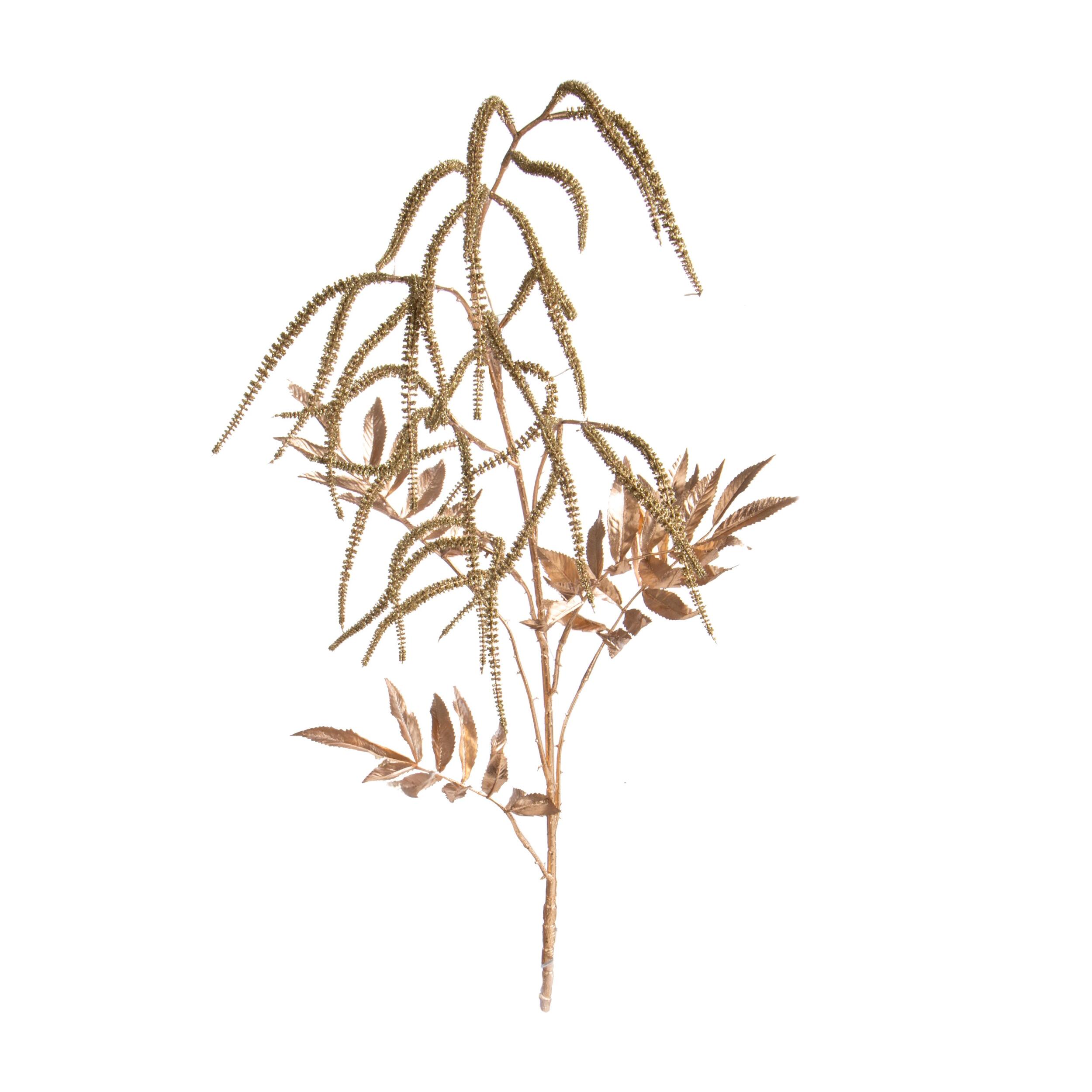 Spirea ramo - Pezzi 6 - 18xH131x0,1cm - Bianchi Dino SpA