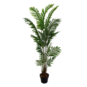 Pianta artificiale Kenzia Vacchetti in plastica cmh165